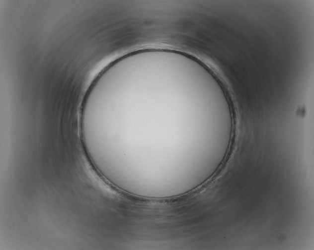 X0000111801238200907231202