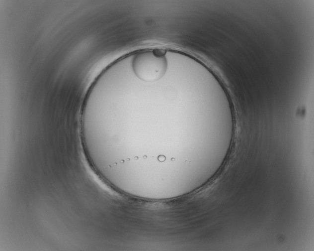 X0000111801239200907231202