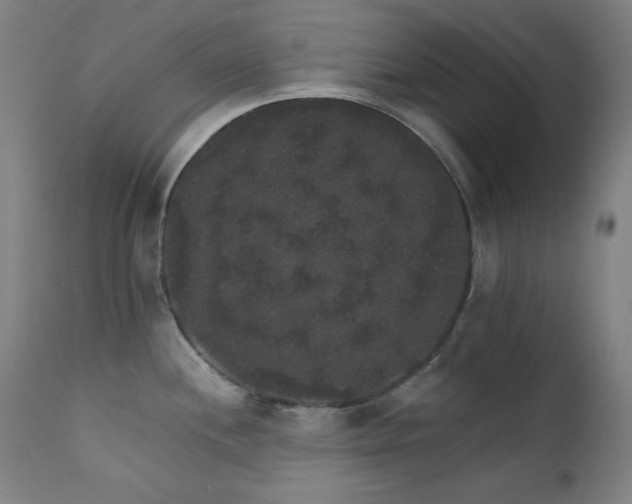 X0000111801244200907231202