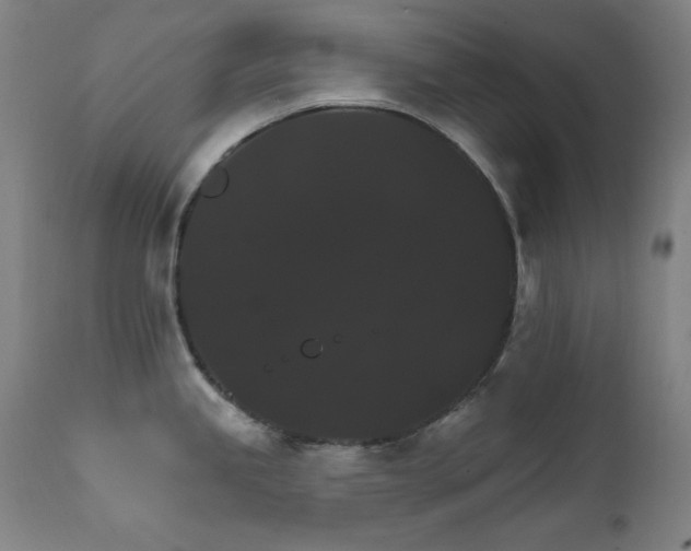 X0000111801245200907231202