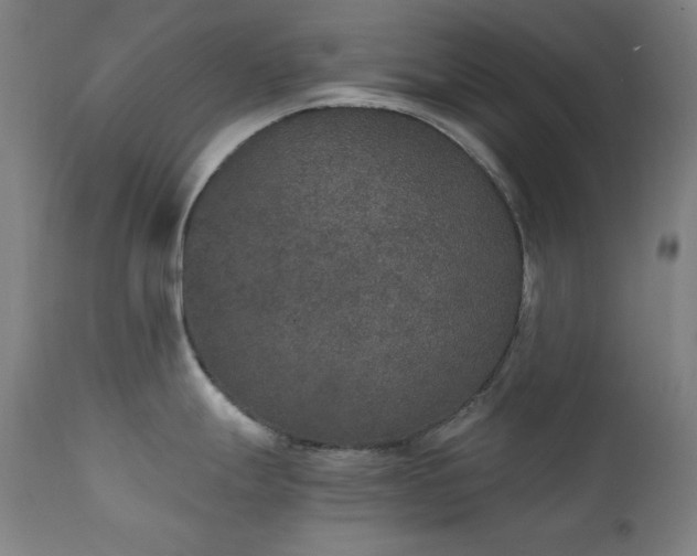 X0000111801247200907231202