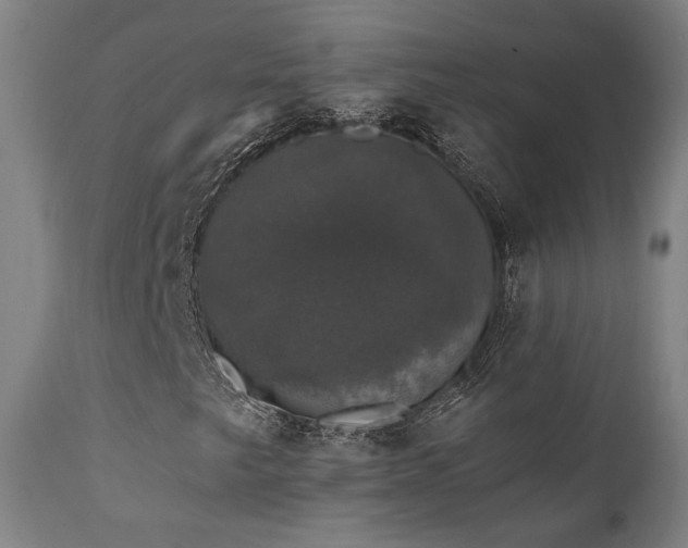 X0000111801249200907231202