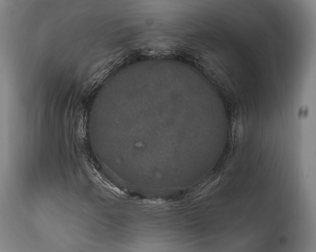 X0000111801250200907231202