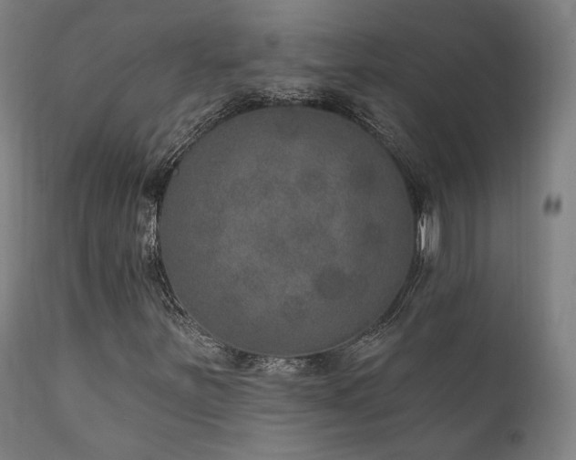 X0000111801251200907231202