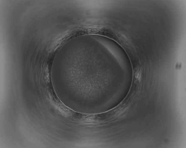 X0000111801252200907231202