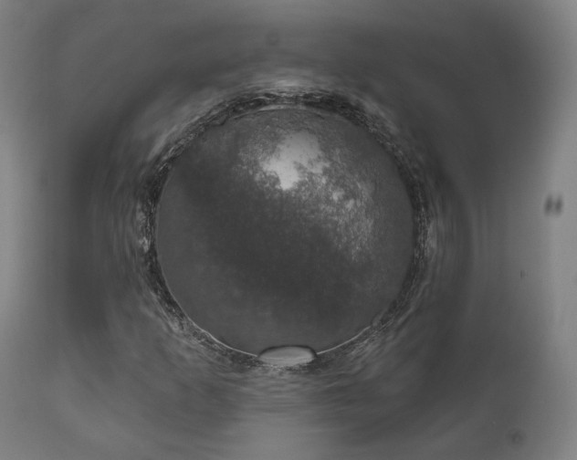 X0000111801253200907231202