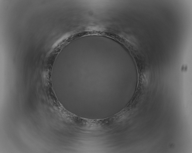 X0000111801254200907231202
