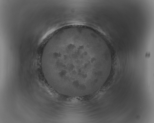 X0000111801255200907231202