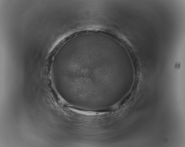 X0000111801256200907231202