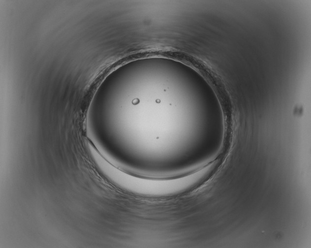X0000111801257200907231202
