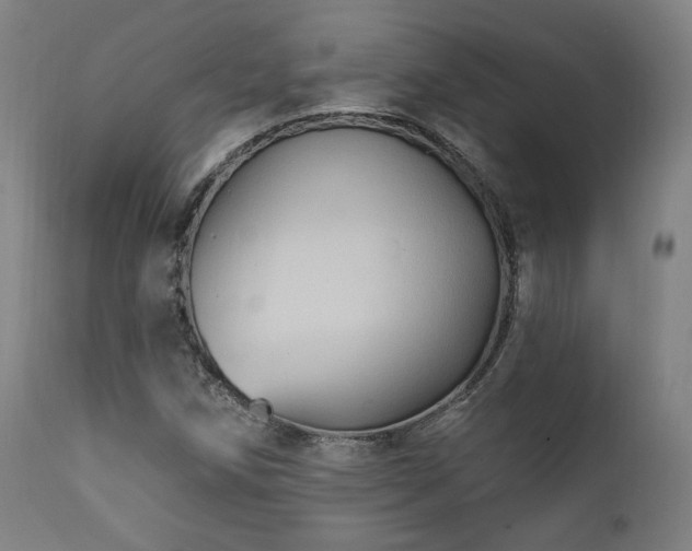 X0000111801258200907231202