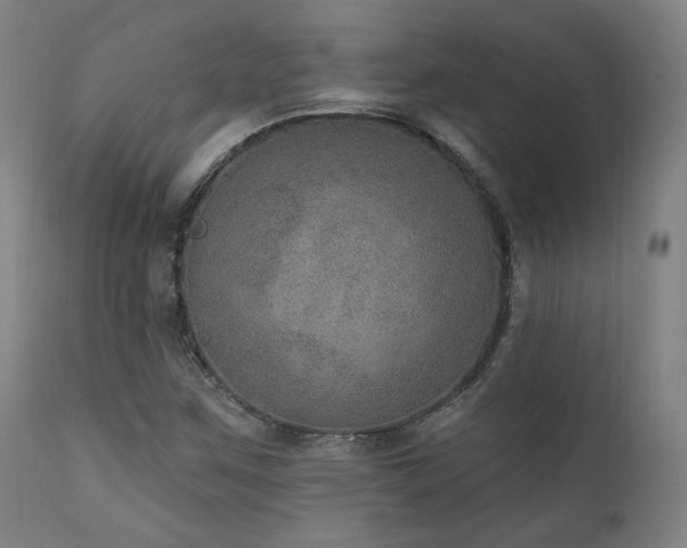 X0000111801259200907231202