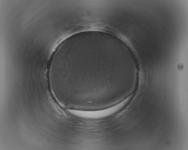 X0000111801260200907231202