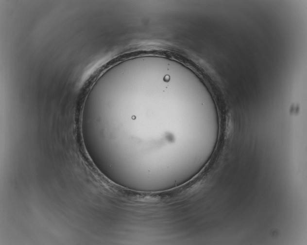 X0000111801261200907231202