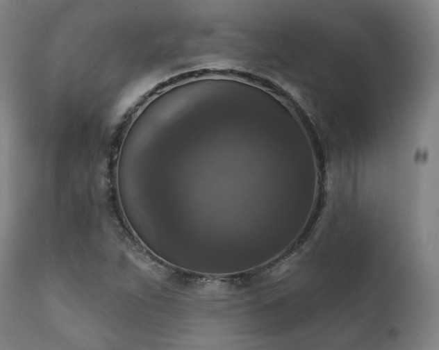 X0000111801263200907231202