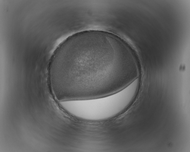 X0000111801264200907231202