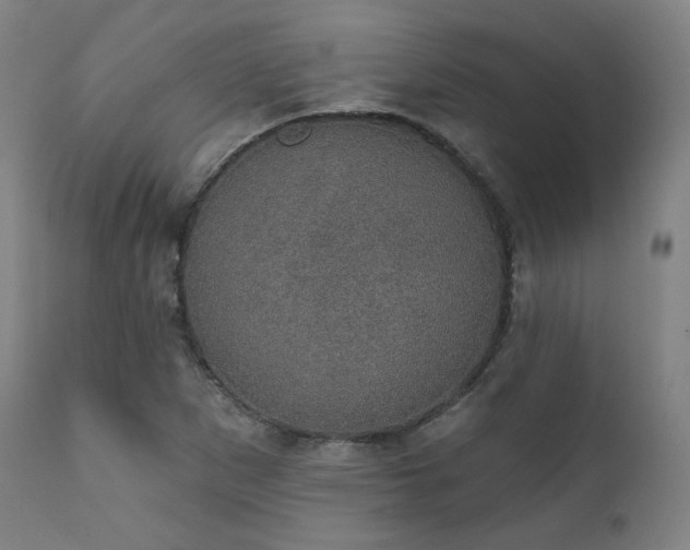 X0000111801265200907231201