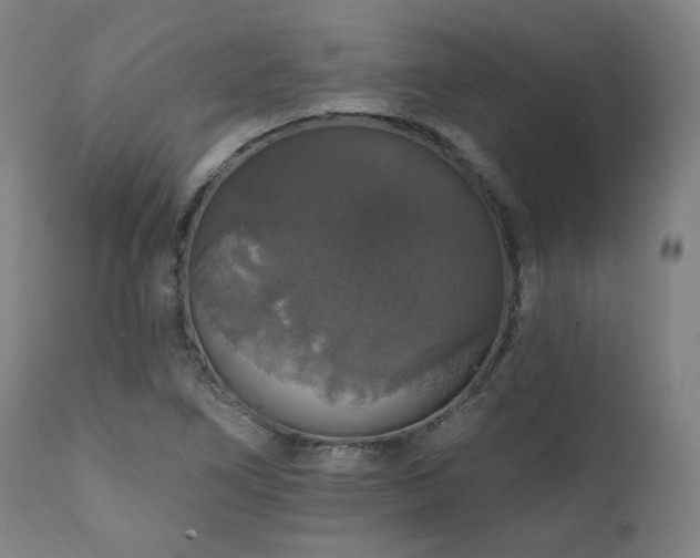 X0000111801266200907231201