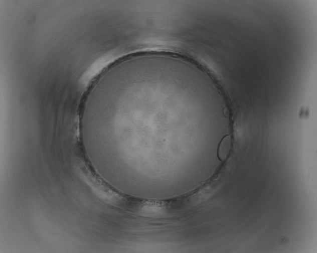 X0000111801267200907231201