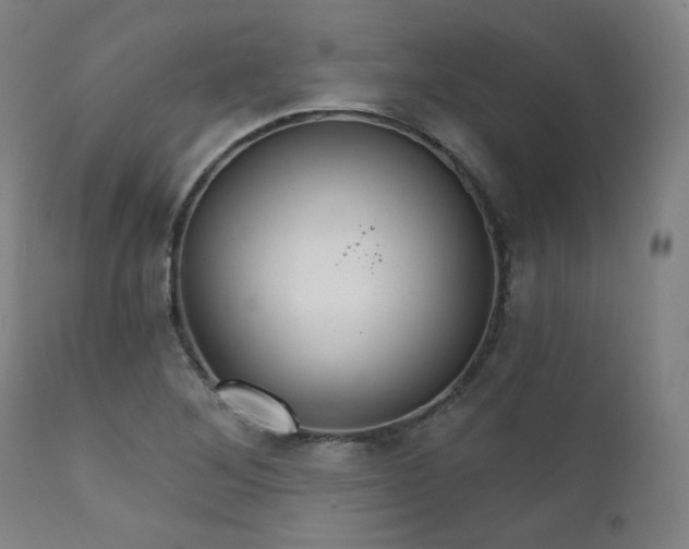 X0000111801268200907231201