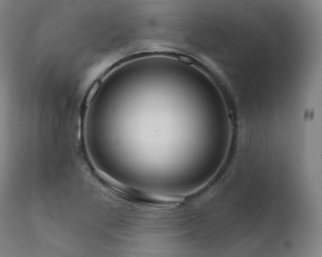 X0000111801269200907231201