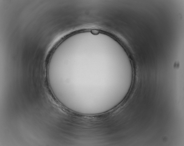 X0000111801270200907231201