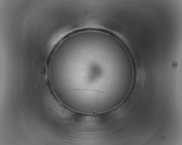 X0000111801271200907231201