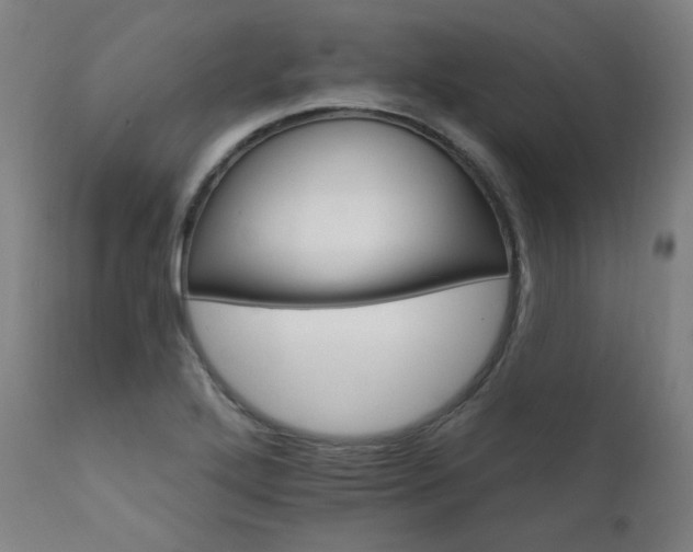 X0000111801272200907231201