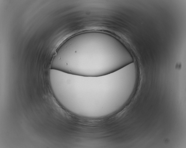X0000111801273200907231201