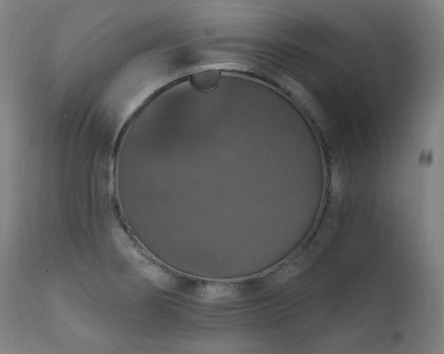 X0000111801274200907231201