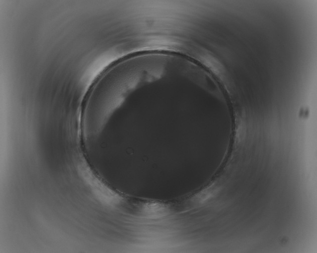 X0000111801275200907231201