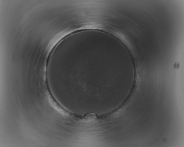 X0000111801276200907231201