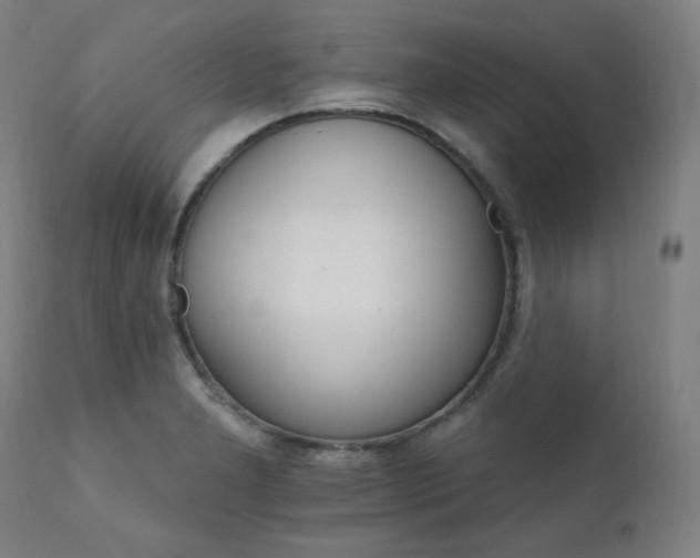 X0000111801277200907231201