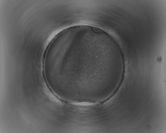 X0000111801280200907231201