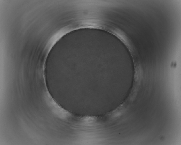 X0000111801283200907231201