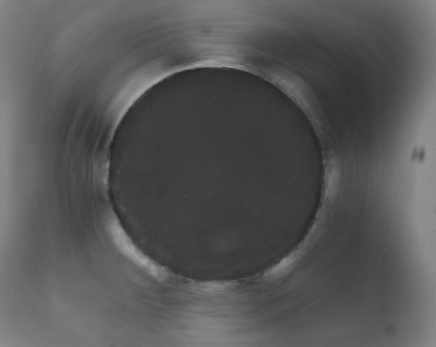 X0000111801284200907231201
