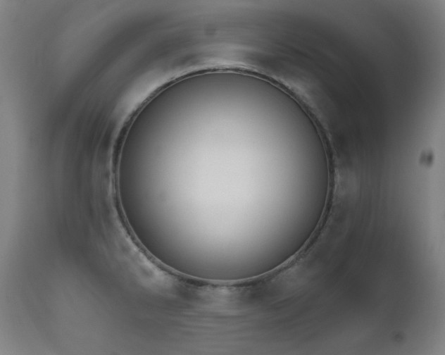 X0000111801286200907231201