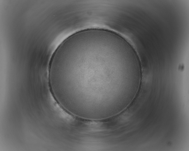 X0000111801287200907231201