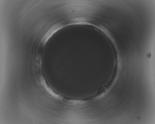 X0000111801289200907231201