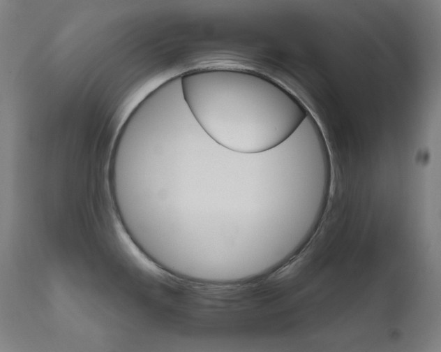 X0000111801293200907231201