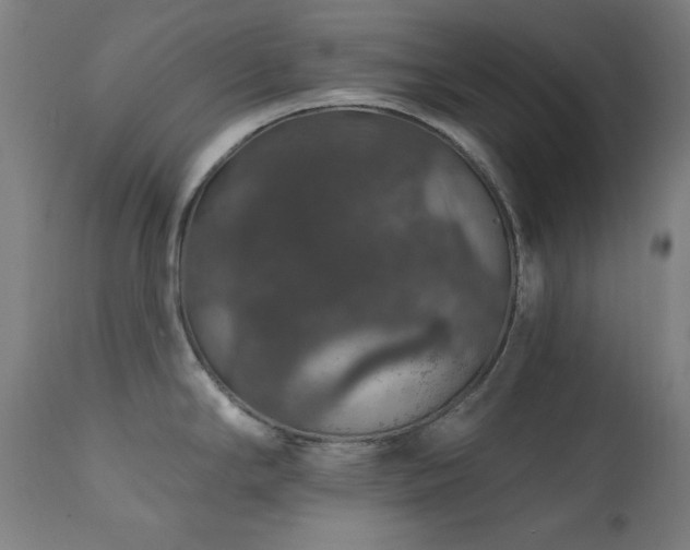 X0000111801294200907231201