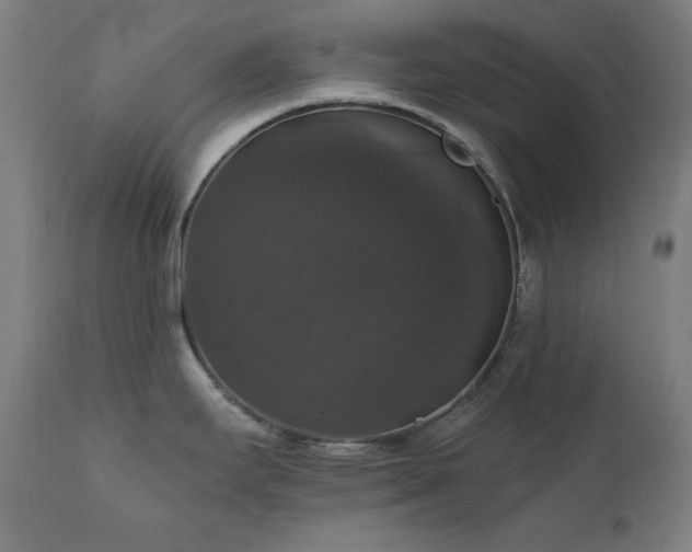 X0000111801295200907231201