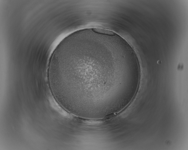 X0000111801296200907231201