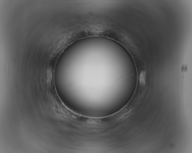 X0000111801299200907231200
