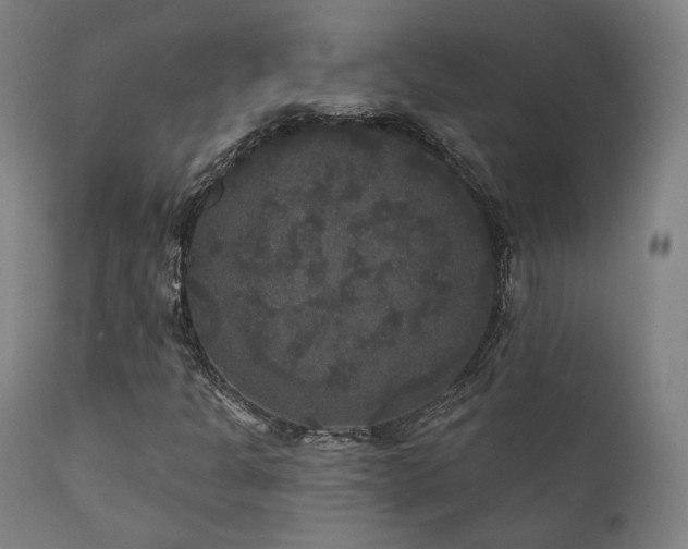 X0000111801301200907231200