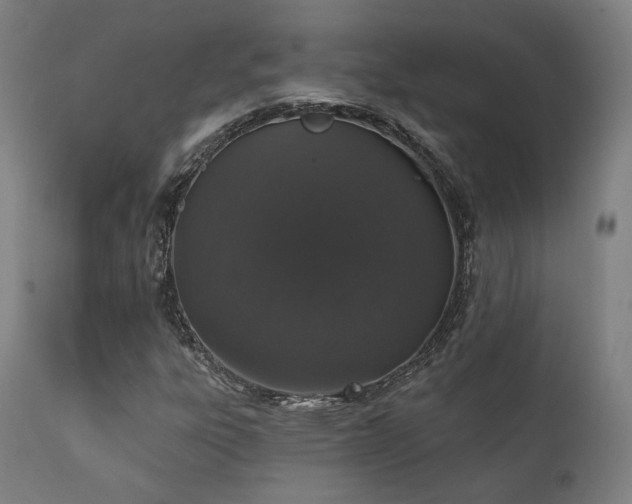 X0000111801303200907231200