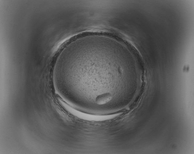 X0000111801304200907231200