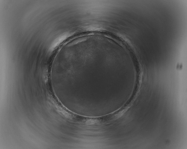 X0000111801306200907231200