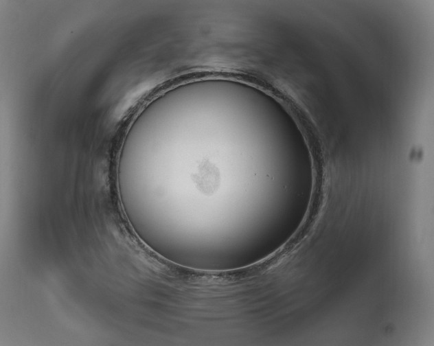X0000111801307200907231200