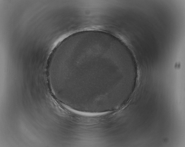 X0000111801308200907231200